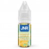 WATERMELON MANGO PEACH 10ML by JNR