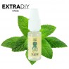 047 MISS SPEARMINT by ExtraDIY
