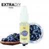 051 MISS BLUEBERRY by ExtraDIY